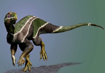 Fosil Dinosaurus dari Amerika Utara Ungkap Masa Transisi pada Zaman Kapur