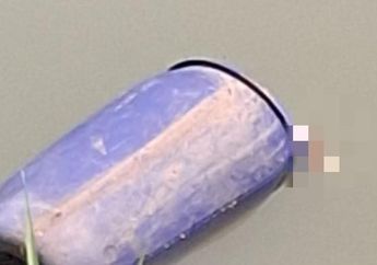 Geger Penemuan Mayat dalam Drum di Sungai Cisadane, Sudah Meninggal Beberapa Hari dengan Kondisi Mengenaskan