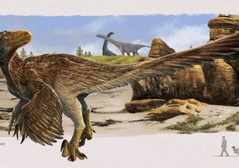 Shri rapax, Dinosaurus Raptor dari Mongolia dengan Cakar Mematikan