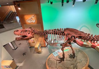 Peneliti Temukan Pembuluh Darah dalam Fosil Dinosaurus T. rex