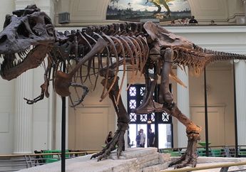Dinosaurus Ikonik ‘Jurrasic World’ yang Punya Pertumbuhan Tulang Cepat