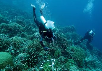 Indonesia Susun Peta Nasional Terumbu Karang dan Padang Lamun