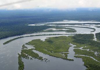 Paru-Paru Dunia Terbesar Itu Beranjak Pulih Usai Presidennya Tegas Berantas Deforestasi