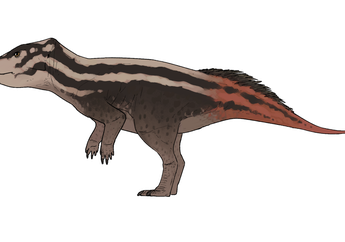 Penemuan Dinosaurus Baru di Jepang Beri Petunjuk Evolusi Ceratopsian