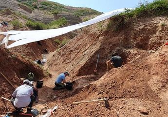 17 Tahun Penggalian, Identitas Fosil Dinosaurus dari Kyrgyzstan Akhirnya Terungkap