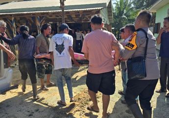 Kronologi Wanita Tewas Diserang Gajah di Riau, Niat Usir Hewan Berbelalai dari Ladang Kini Berakhir Tragis