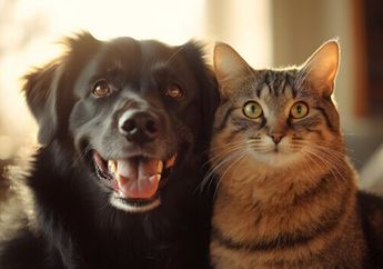 Anjing Punya Tuan, Kucing Punya Babu: Sains Jelaskan Alasan Ilmiahnya
