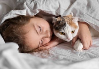 Mengapa Kucing Kesayangan Sering Bangunkan Anda Terlalu Pagi? Apa Solusinya?