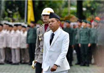 Dedi Mulyadi Beri Imbauan Hapus Tunggakan PBB Perorangan, Begini Respon Sejumlah Kepala Daerah di Jawa Barat