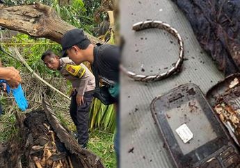 Kronologi Penemuan Kerangka Manusia di Dalam Pohon Aren, Inilah Dugaan Identitasnya