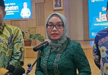 Profil Farida Farichah, Politikus PKB yang Dilantik Jadi Wamenkop, Ini Perjalanan Kariernya