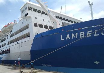 Diskon Tiket PELNI Selama Periode Libur Natal dan Tahun Baru, Cek Syaratnya