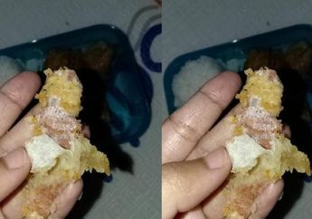 Kronologi Tahu Goreng Isi Plester Luka Ditemukan dalam Menu MBG di Sukabumi