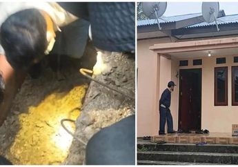 Sadis! Istri Pegawai Pajak di Manokwari Tewas Usai Alami Penculikan dan Perampokan, Jasad Ditemukan dalam Septic Tank