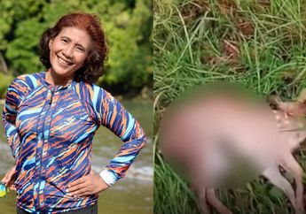 Kronologi Rusa Peliharaan Susi Pudjiastuti Mati Diserang Anjing Liar, Ngaku Sudah Lapor Polisi Tapi Tak Digubris