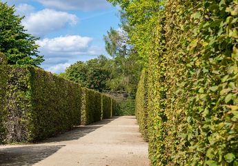 8 Arti Mimpi Terjebak di Dalam Labirin, Benarkah Refleksi Kebingungan Hidup?