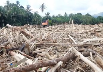 Kemenhut Sebut Kayu Gelondongan Banjir Sumatera karena Pohon Lapuk, WALHI Soroti 7 Perusahaan Raksasa Ini