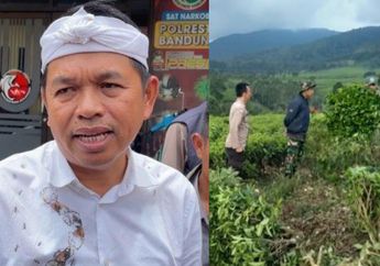 Identitas Pelaku Utama Perusakan Kebun Teh di Pangalengan Bandung Dikantongi Polisi, Dedi Mulyadi: Segera Ditahan