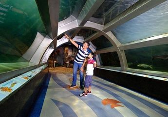 Siap Liburan Akhir Tahun? Ini 3 Rekomendasi Wisata Ramah Anak di Jogja, Dijamin Si Kecil Senang dan Betah Seharian