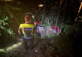 Kronologi Odong-odong Terjun ke Jurang di Jambi, Diduga Rem Blong hingga Kendaraan Lepas Kendali, 2 Orang Dinyatakan Tewas