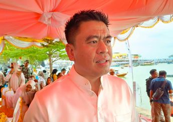 Profil Endipat Wijaya, Anggota DPR yang Minta Komdigi Viralkan Bantuan Pemerintah, Beri Sindiran Ferry Irwandi?