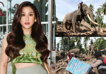Profil Sherina Munaf, Artis yang Murka Lihat Gajah Dijadikan 'Alat Berat' untuk Bersihkan Gelondongan Kayu di Banjir Aceh!