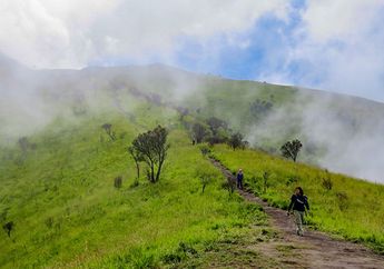 Kronologi Pendaki Tewas Tersambar Petir di Gunung Merbabu, Korban Naik Melalui Jalur Suwanting
