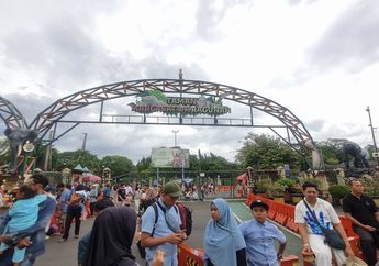 Mau ke Ragunan Saat Puncak Libur Tahun Baru? Simak Jadwal Operasional Terbaru dan Tips Parkirnya