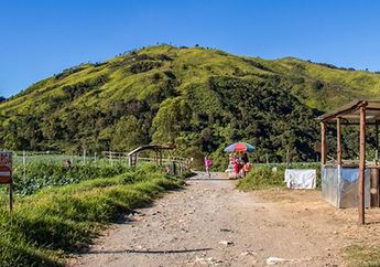 Kronologi Hilangnya Pendaki di Bukit Mongkrang, Tim SAR Kerahkan Drone hingga Anjing Pelacak