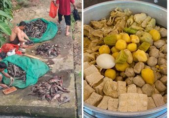 Waspada Siomay Ikan Sapu-sapu, Ini Ciri dan Cara Menghindarinya