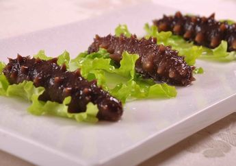 Inilah 4 Fakta Mencengangkan Teripang, Menu Sultan yang Sering Ada di Meja Makan Saat Imlek