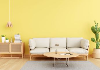 Siap-siap Banjir Rezeki! Ini 5 Warna Pembawa Hoki di Imlek 2026 Tahun Kuda Api, Buruan Dekor Rumah Sekarang