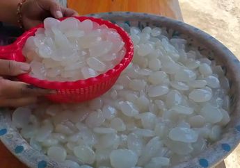 Begini Cara Masak Kolang-kaling Agar Empuk dan Bebas Lendir Buat Menu Takjil Buka Puasa Ramadan