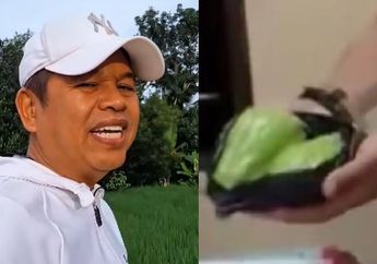 Istri Penganiaya Pencuri Labu Siam Nangis Minta Diberi Keringanan Hukuman, Dedi Mulyadi Beri Reaksi Tegas: Gak Bisa...