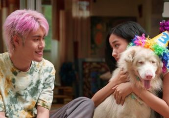 Sinopsis Film Gohan, Kisah Haru Persahabatan Manusia Kesepian dan Anjing