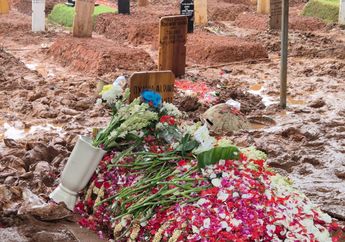 Harry Kiss Terharu, Makam Vidi Aldiano Sudah Terdaftar di Google Maps