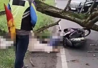 Kronologi Bocah Tertimpa Pohon Tumbang di Magetan Usai Beli Baju Lebaran, Saksi Mata Ungkap Detik-detik Tragedi