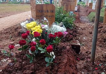 Makam Vidi Aldiano Amblas, Perawat Makam Bongkar Penyebabnya