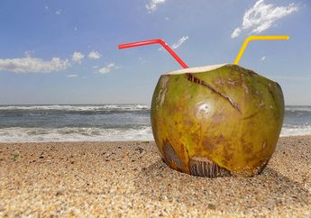 Tidak Menyebabkan Sakit Perut, Minum Air Kelapa di Pagi Hari Justru Bermanfaat