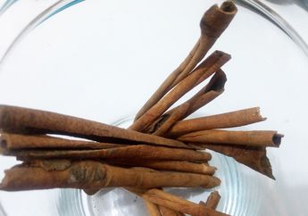Hampir Seluruh Kayu Manis yang Beredar di Dunia Berasal dari Indonesia, Lihat Fakta Kayu Manis Lainnya, yuk!