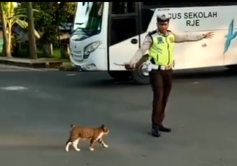 Keren! Ada Polisi Seberangkan Seekor Kucing