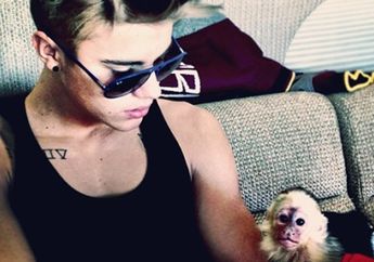 Justin Bieber: Ditangkap Gara-gara Monyet