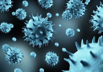 9 Virus Paling Mematikan di Dunia (Bagian 1)