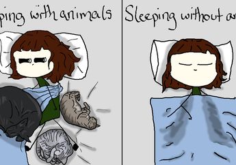 Benar Enggak Sih, Tidur dengan Hewan Peliharaan Bisa Bikin Tidur Kita Lebih Nyenyak?