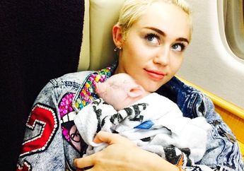 Hewan Peliharaan Terbaru Miley Cyrus Ternyata Seekor Anak Babi