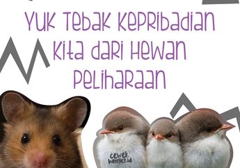 Menebak Kepribadian Kita dari Hewan Peliharaan