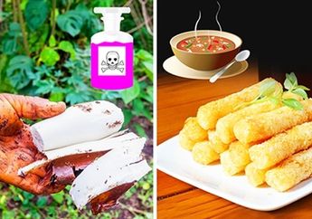 Ternyata 10 Makanan Ini Mengandung Racun Lho! Perlu Tahu!