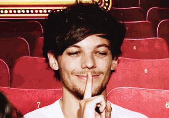 Ini Pesawat Yang Dipakai Louis Tomlinson ke Jakarta