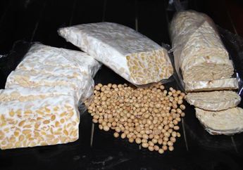 Kabar Gembira Untuk Kita Semua, Tempe Bacem Kini Ada Kemasan Kalengnya!