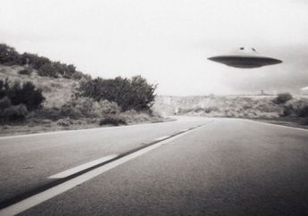Mengejutkan! Ada UFO di Kandang Ayam Milik Seorang Peternak Amerika, Ternyata Ini Faktanya